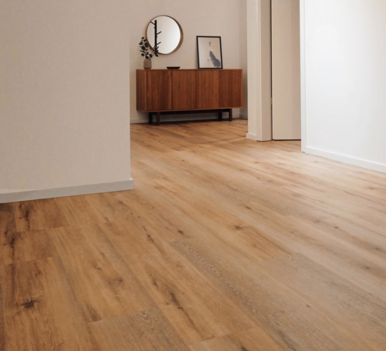 Carpet & Vinyl Floors